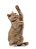 Quadro Decorativo Gatos 2152 - Imagem 1