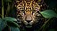 Quadro Decorativo Leopardos 2267 - Imagem 1