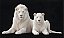 Quadro Decorativo Leões 2278 - Imagem 1