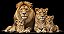 Quadro Decorativo Leões 2336 - Imagem 1