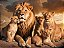 Quadro Decorativo Leões 2352 - Imagem 1