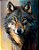 Quadro Decorativo Lobos 2509 - Imagem 1