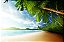 Quadro Decorativo Mar 2586 - Imagem 1