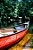 Quadro Decorativo Barcos e Canoas 3252 - Imagem 1