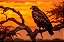 Quadro Decorativo Pássaros 3359 - Imagem 1