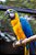 Quadro Decorativo Pássaros 3469 - Imagem 1