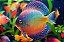 Quadro Decorativo Peixes 3692 - Imagem 1