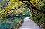 Quadro Decorativo Paisagens 3717 - Imagem 1