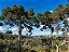Quadro Decorativo Paisagens 3718 - Imagem 1