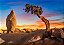 Quadro Decorativo Paisagens 3739 - Imagem 1