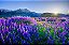 Quadro Decorativo Paisagens 3746 - Imagem 1
