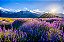 Quadro Decorativo Paisagens 3748 - Imagem 1