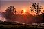 Quadro Decorativo Paisagens 3761 - Imagem 1