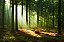 Quadro Decorativo Paisagens 3789 - Imagem 1