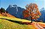 Quadro Decorativo Paisagens 3792 - Imagem 1