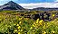 Quadro Decorativo Paisagens 3804 - Imagem 1