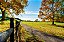 Quadro Decorativo Paisagens 3813 - Imagem 1