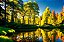 Quadro Decorativo Paisagens 3816 - Imagem 1
