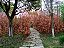 Quadro Decorativo Paisagens 3825 - Imagem 1