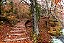 Quadro Decorativo Paisagens 3828 - Imagem 1