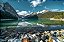 Quadro Decorativo Paisagens 3829 - Imagem 1