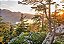 Quadro Decorativo Paisagens 3872 - Imagem 1