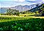 Quadro Decorativo Paisagens 3875 - Imagem 1