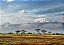 Quadro Decorativo Paisagens 3885 - Imagem 1