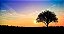 Quadro Decorativo Paisagens 3893 - Imagem 1