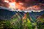 Quadro Decorativo Paisagens 3899 - Imagem 1