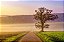 Quadro Decorativo Paisagens 3931 - Imagem 1