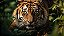 Quadro Decorativo Tigres 4096 - Imagem 1