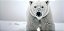 Quadro Decorativo Urso Polar 4115 - Imagem 1