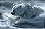 Quadro Decorativo Urso Polar 4116 - Imagem 1