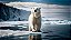 Quadro Decorativo Urso Polar 4125 - Imagem 1
