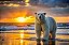 Quadro Decorativo Urso Polar 4126 - Imagem 1