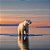 Quadro Decorativo Urso Polar 4127 - Imagem 1