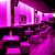 Fita LED 5050 Rosa 5m 12V IP20 - Imagem 3