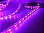 Fita LED 5050 Rosa 12V IP65 Com Silicone 5 Metros - Imagem 3
