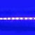 Fita LED 5050 Azul com Silicone 24V IP65 - Imagem 4