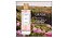 Chanson D'Eau Perfume Eau de Toilette Rose - 100ml - Feminino - Imagem 7