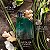 Nautica Green 100ml - Perfume Masculino - Eau De Toilette - Imagem 5