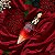 Perfume Feminino Eau de Parfum Killer Queen Katy Perry - Imagem 1