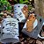 Caneca Capivara com Frases e Cores Alternativas - Imagem 8