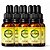 Kit 8 NeuroBio – Memória  Foco e Concentração - 30 ML - Imagem 3