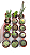 10 mini cactos 6 cm sortidos e variados - Imagem 1