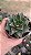 Planta Suculenta Echeveria Purpusorum White pote9 cm - Imagem 2