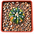 Cacto Astrophytum Asterias Variegata – Raro e Colecionável - Imagem 1