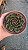 Planta Suculenta Echeveria San Luiz - Imagem 1