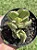 Crassula Ovata (Jade Variegata) - Imagem 1